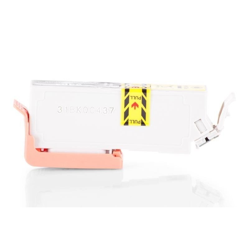 Compatible Epson C13T33614010 / C13T33614012 / 33 XL Cartouche d’encre Photo Noir